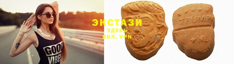 Ecstasy Philipp Plein  где продают   Дрезна 